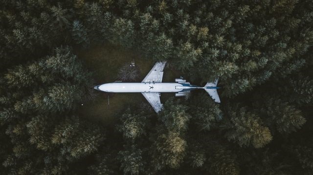 عکس/ زندگی در هواپیمای بازنشسته در عکس روز نشنال جئوگرافیک