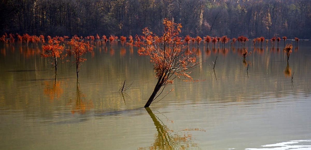تصاویر| پاییز در دریاچه الندان ساری