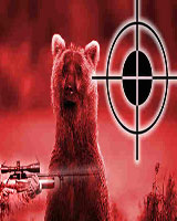 بازتاب بین المللی کشتن خرس قهوه ای در دانشگاه تبریز