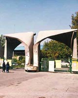 ضرب و شتم مدرس فلسفه در خیابان