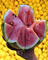 شب یلدا شب زایش مهر