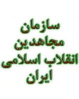 راه چاره اقتدارگرایان بستن پرونده انتخابات آزاد است