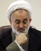 شجونی نظر شخصی خود را اعلام کرده است