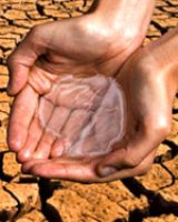 هشدار در مورد تبعات تداوم خشکسالی
