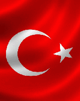 خانواده شهدا: اردوغان حمایتت می کنیم