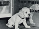 Harry S Truman and Feller