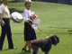 Ronald Reagan & Lucky
