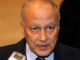 احمد ابولغیظ/ عکس: AFP