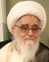 ابراز تاسف آیت‌الله صافی از ناآشنایی برخی طلاب با علوم حدیثی
