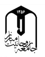 جامعه روحانیت مبارز: 13 آبان منحرف نشود