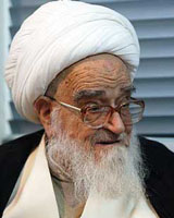 آیت‌الله صافی: روحانی باید فراجناحی باشد