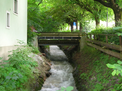 همزیستی انسان و طبیعت؛ محیطی زیبا