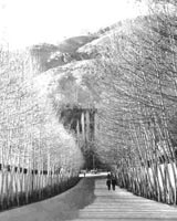 خیابان دربند در زمانی نه چندان دور