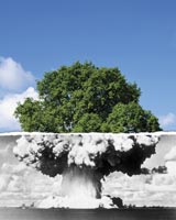 صداي جنگ و صلح از ايران و جهان