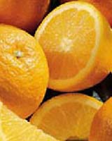 ذخیره‌سازی 100 هزار تن سیب و پرتقال شب عید