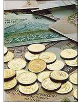 وزیر اقتصاد نمی تواند مشکلات و تقصیرها را به عهده بانک مرکزی بگذارد