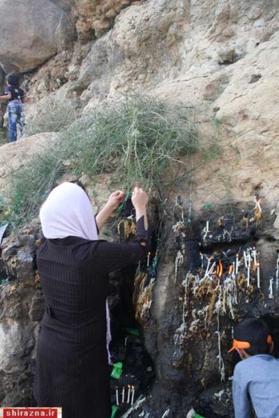 گره زدن پارچه سبز به بوته‌های بالای تپه!