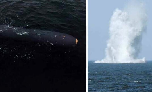 عکس| پهپاد اتمی کره شمالی سونامی به پا میکند عکس| پهپاد اتمی کره شمالی سونامی به پا میکند