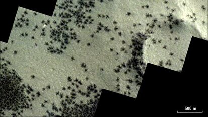 تصاویر عنکبوت‌های درحال حرکت روی سطح مریخ